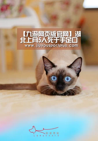 【九游网页版官网】湖北上月5人死于手足口病腮腺炎发病率上升(图2) 九游网页版官网