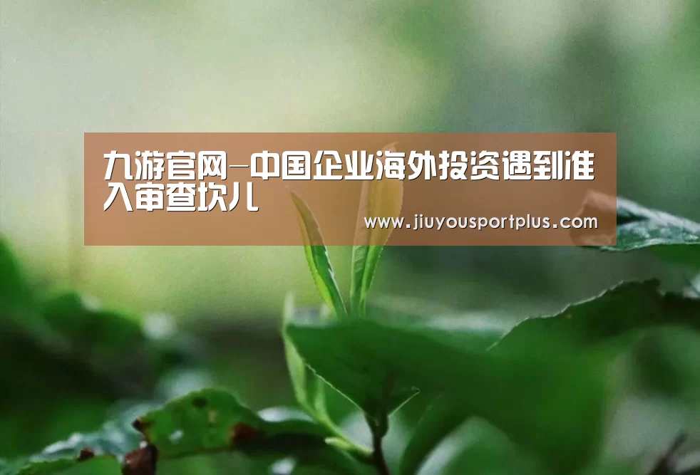 九游官网-中国企业海外投资遇到准入审查坎儿(图3) 九游官网-中国企业海外投资遇到准入审查坎儿(图3)
