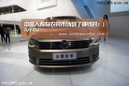 中国人寿称农村市场到了赚钱时:jiuyou(图1) 九游