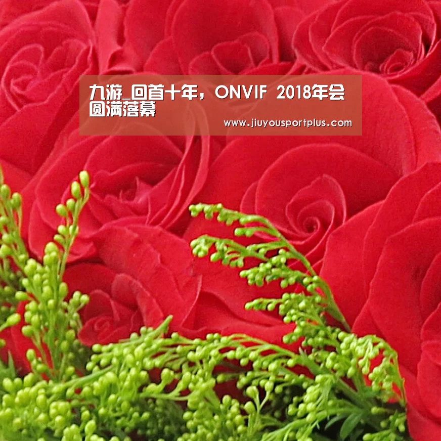 九游_回首十年,ONVIF 2018年会圆满落幕(图1) 九游网页版官网