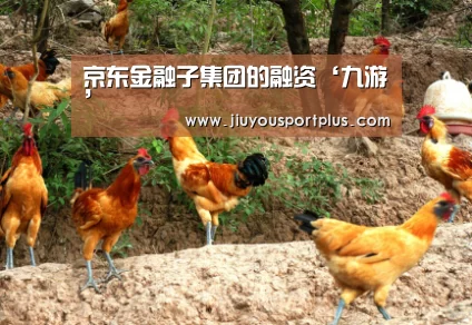 京东金融子集团的融资‘九游’(图1) 九游