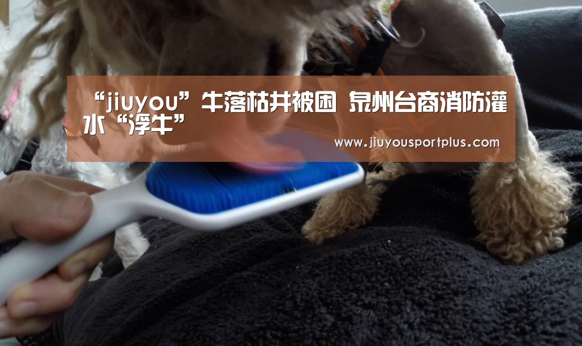 “jiuyou”牛落枯井被困 泉州台商消防灌水“浮牛”(图2) “jiuyou”牛落枯井被困 泉州台商消防灌水“浮牛”(图2)