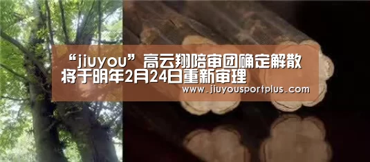 “jiuyou”高云翔陪审团确定解散 将于明年2月24日重新审理(图1) 九游官网